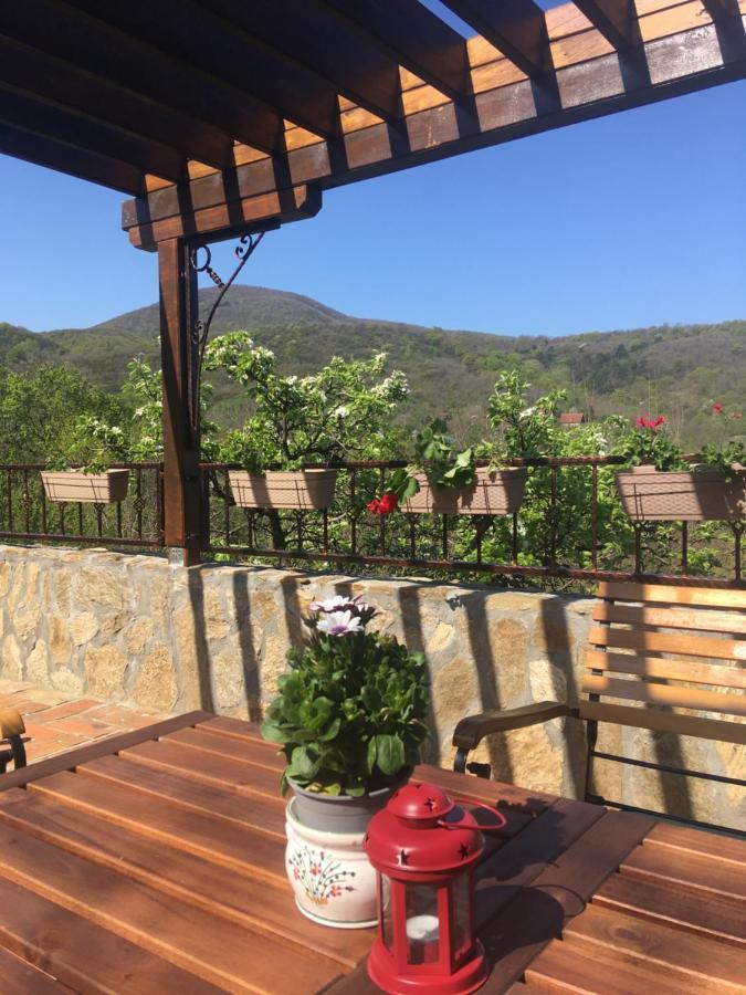 Apartman Casa Skerlak Malo Srediste Екстер'єр фото